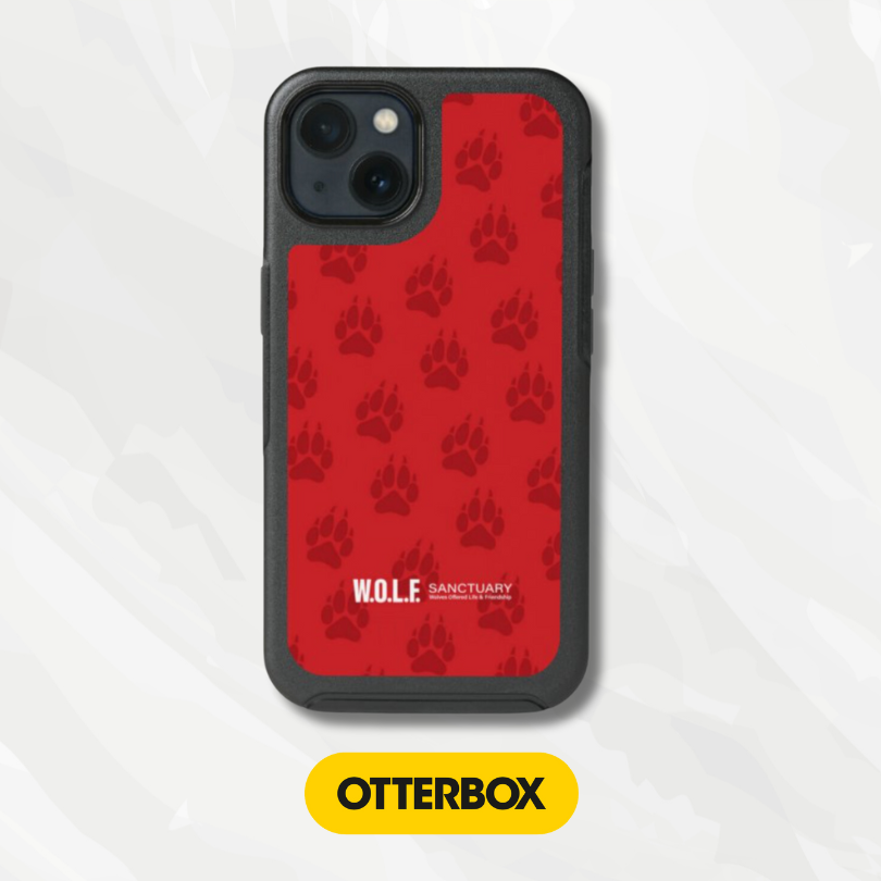 OtterBox Symmetry Series Cases