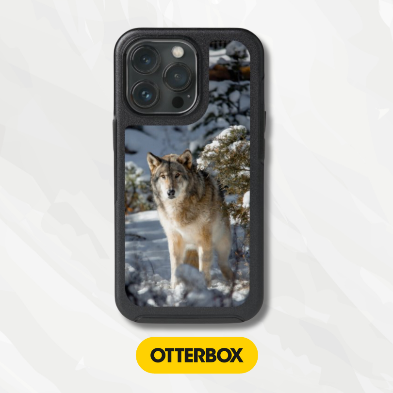 OtterBox Symmetry Series Cases