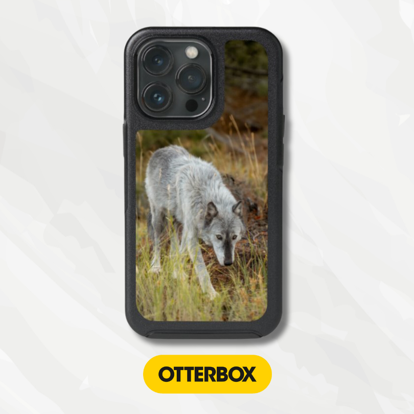 OtterBox Symmetry Series Cases