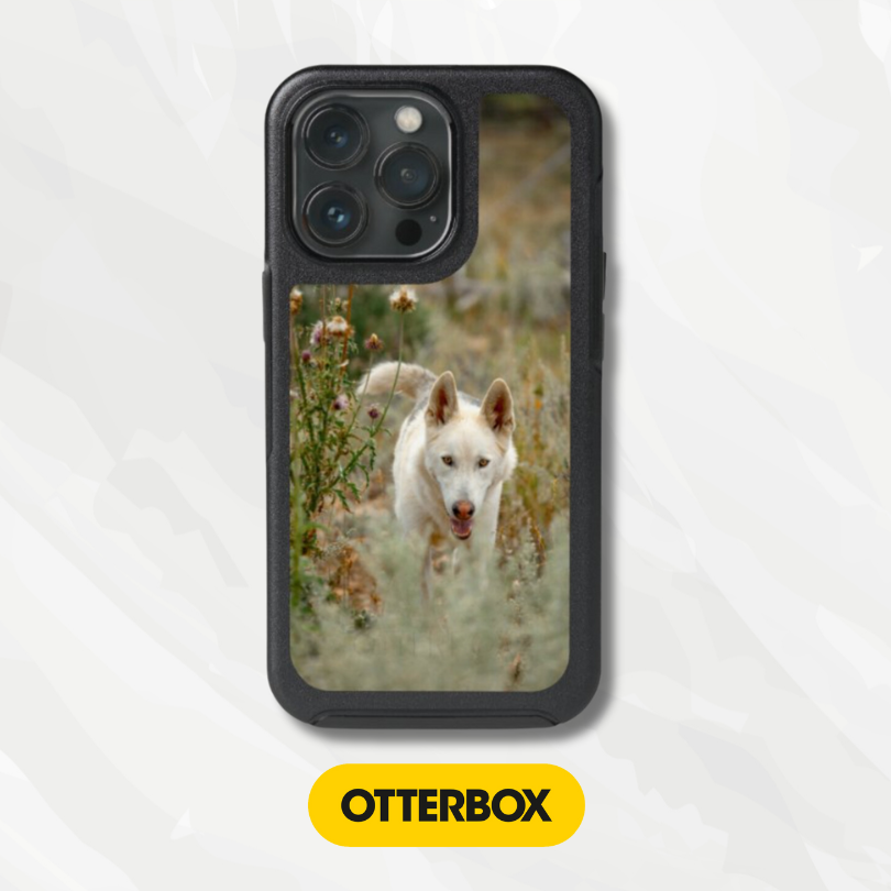 OtterBox Symmetry Series Cases
