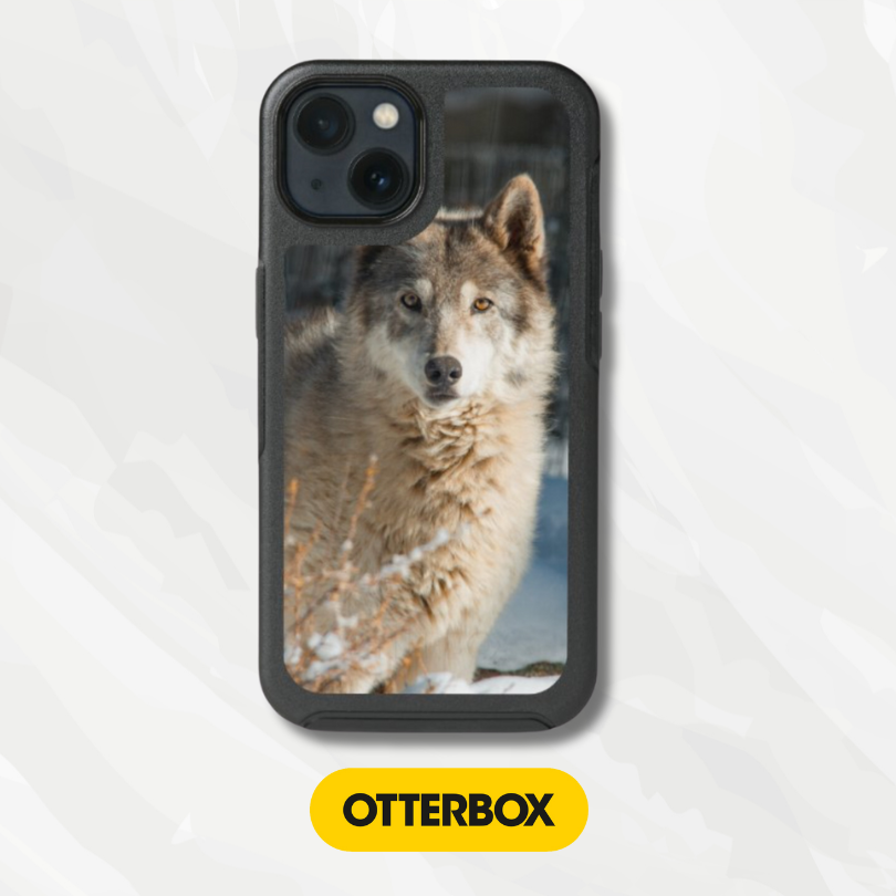 OtterBox Symmetry Series Cases