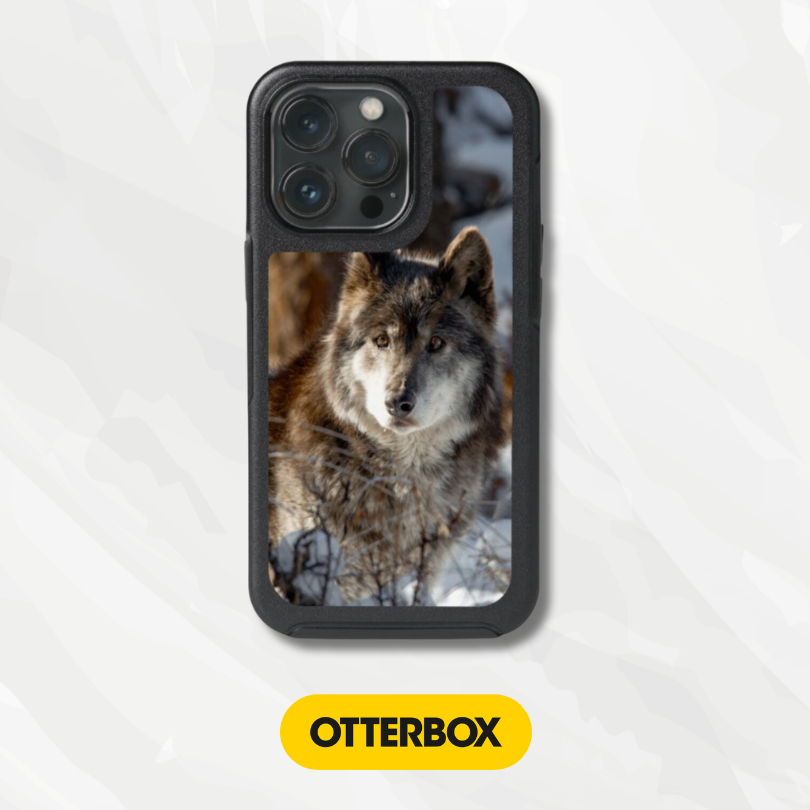 OtterBox Symmetry Series Cases