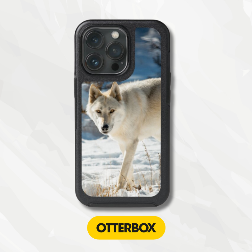 OtterBox Symmetry Series Cases