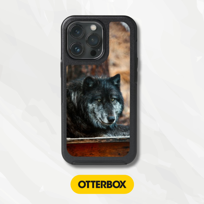 OtterBox Symmetry Series Cases