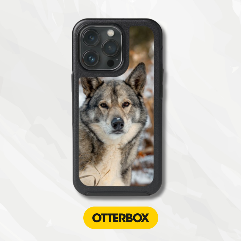 OtterBox Symmetry Series Cases