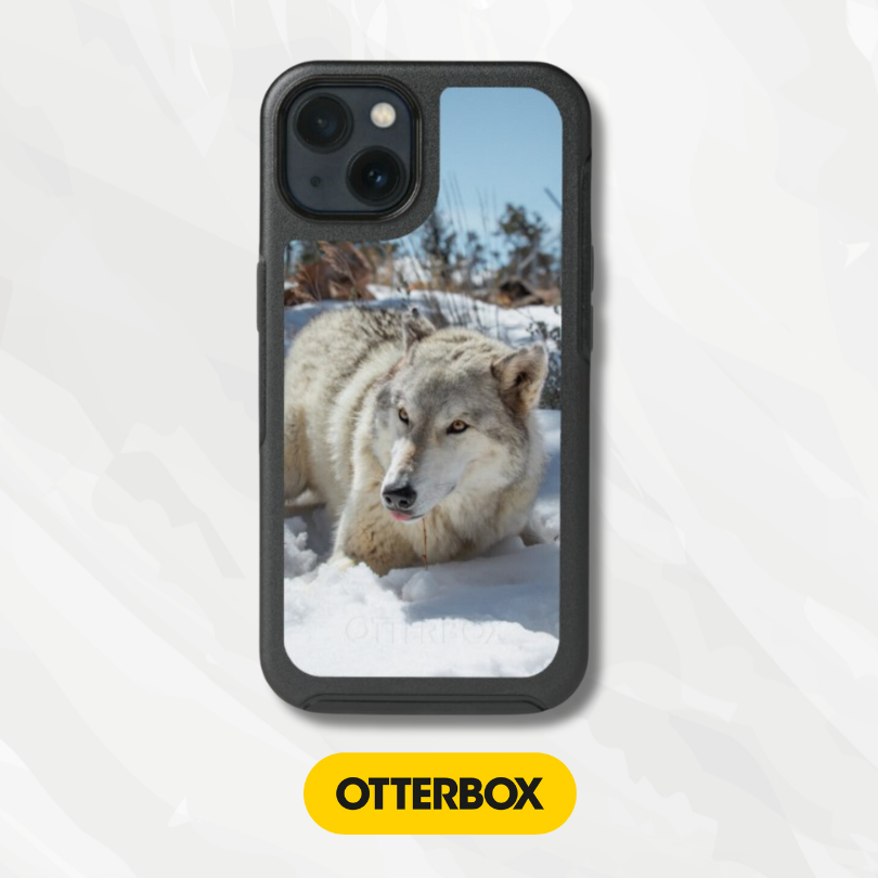 OtterBox Symmetry Series Cases