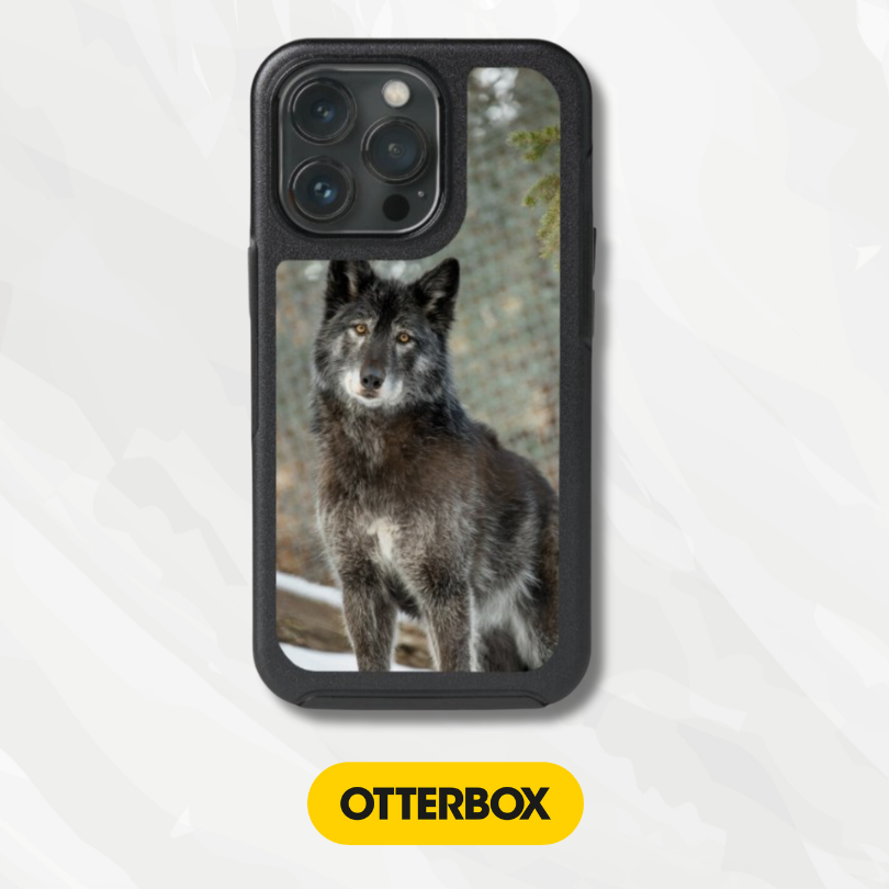 OtterBox Symmetry Series Cases
