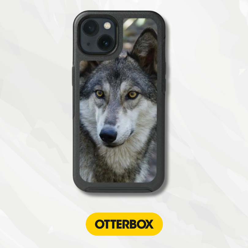 OtterBox Symmetry Series Cases