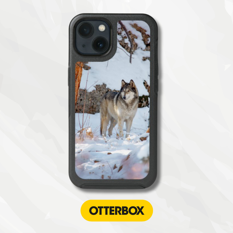 OtterBox Symmetry Series Cases