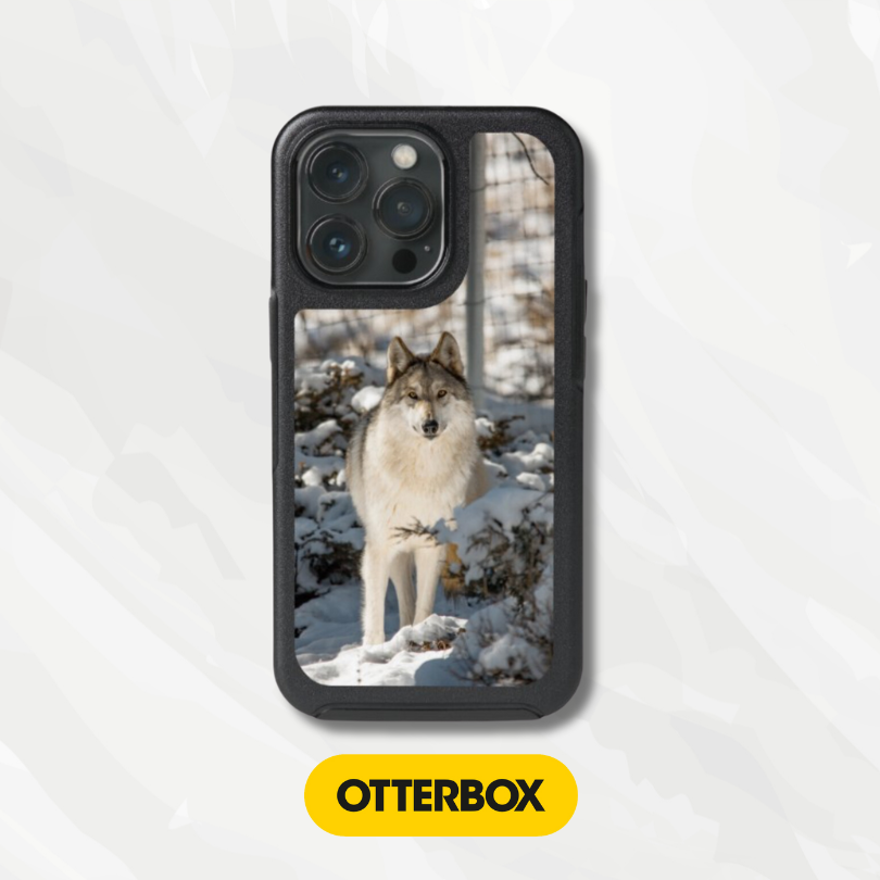 OtterBox Symmetry Series Cases