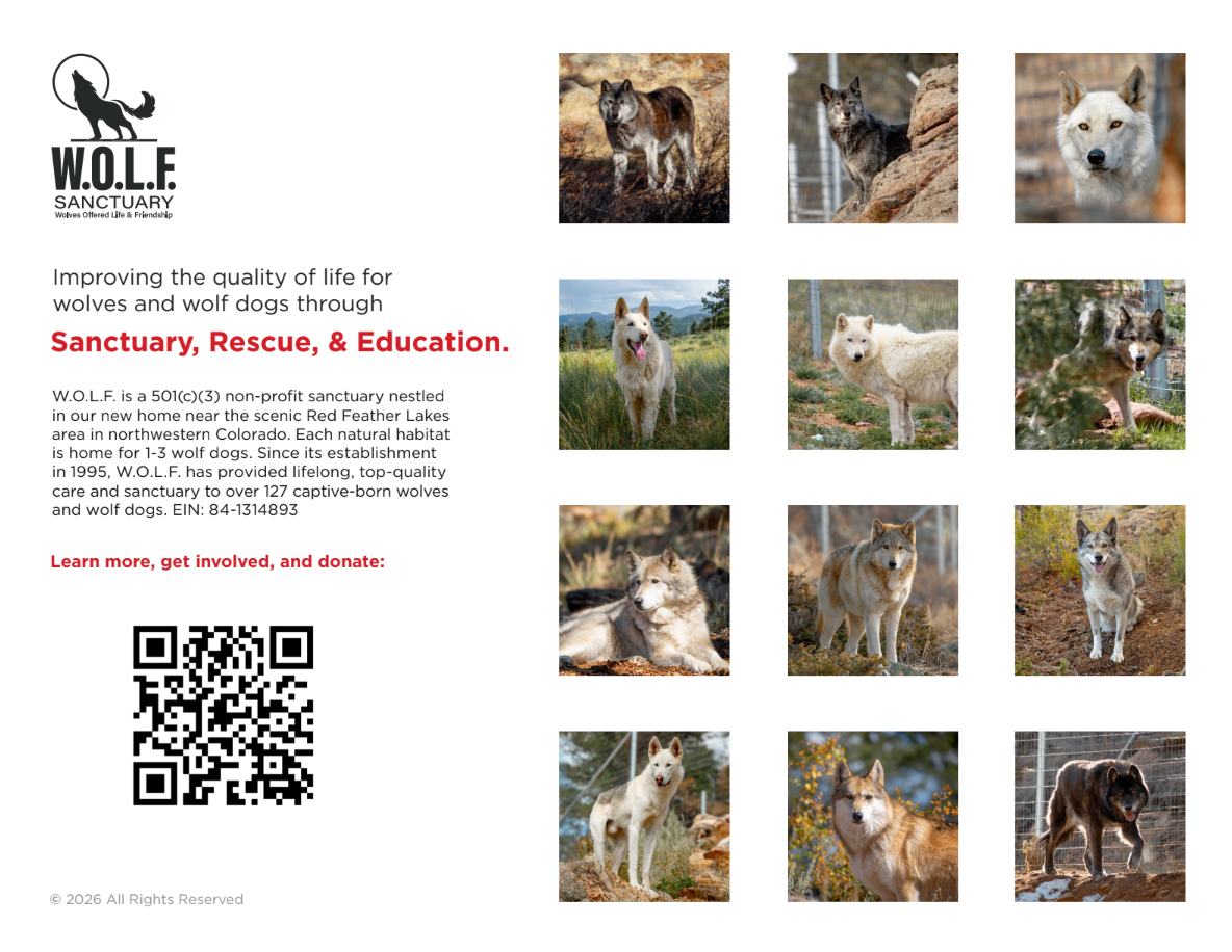 W.O.L.F. Sanctary 2026 Wall Calendar