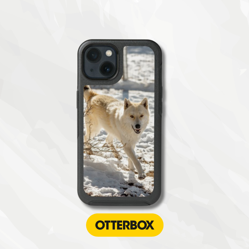 OtterBox Symmetry Series Cases