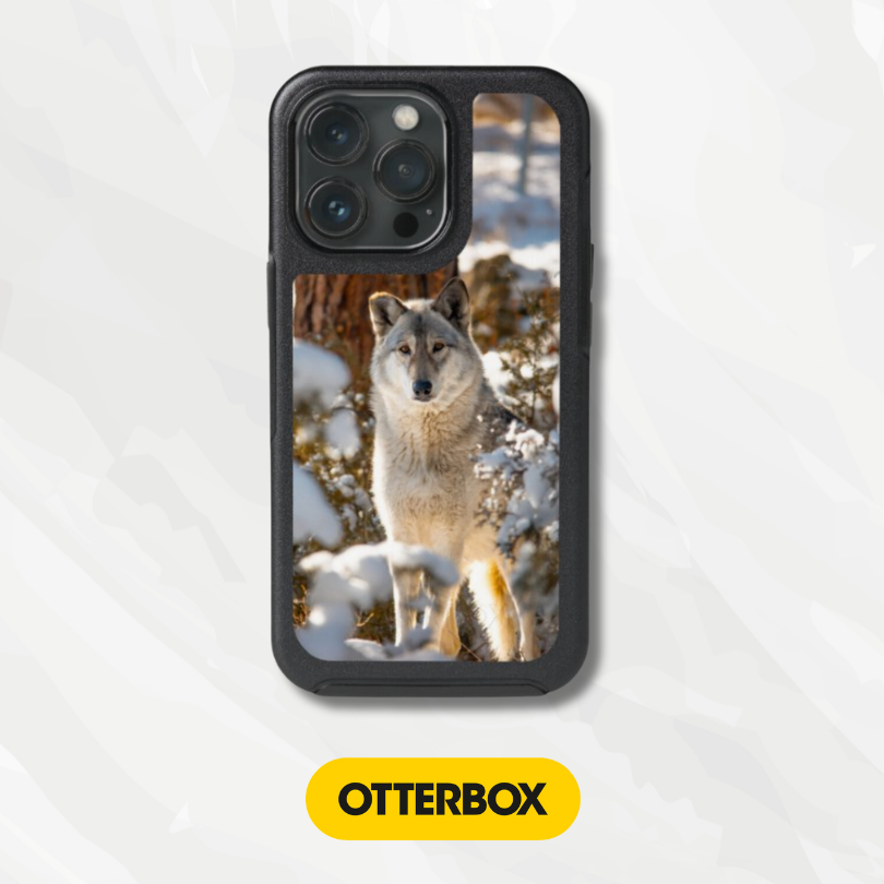 OtterBox Symmetry Series Cases