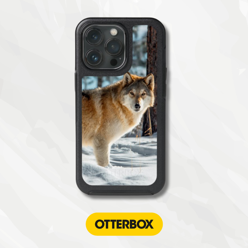 OtterBox Symmetry Series Cases