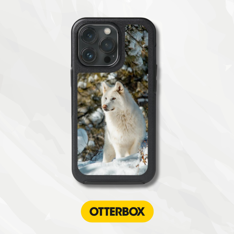 OtterBox Symmetry Series Cases